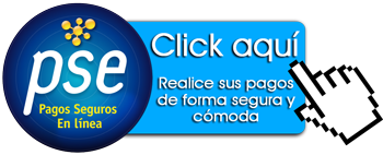 Medio de pago en linea en Tecnologia Caqueta - Pago-Online PSE Medio de pago en linea en Tecnologia Caqueta - Pago-Online PSE